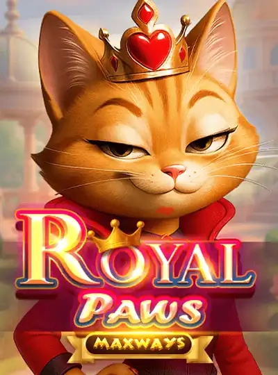 bdo33